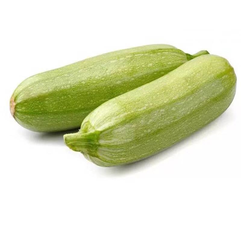 陕西阎良西葫芦瓜各种蔬菜一件代发供应电商