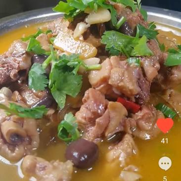 东北山珍食用菌7种品尝组合煲汤铁锅炖煮营养美食干品