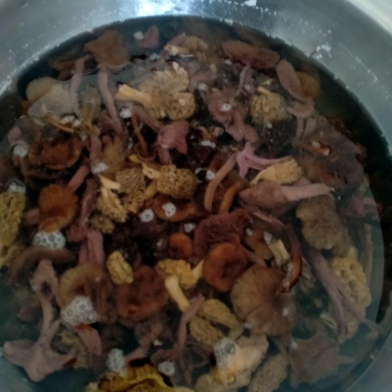 东北山珍食用菌7种品尝组合煲汤铁锅炖煮营养美食干品
