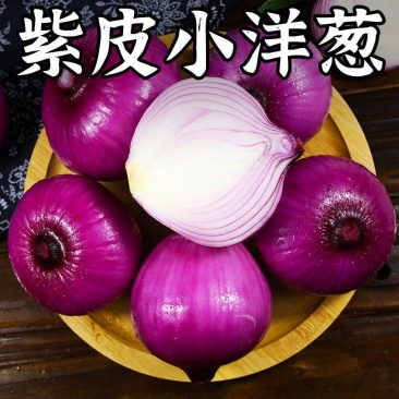 陕西阎良洋葱一件代发