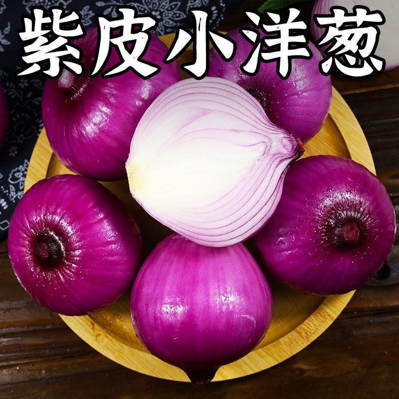 陕西阎良洋葱一件代发