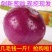 陕西阎良洋葱一件代发