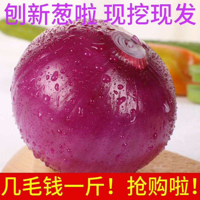 陕西阎良洋葱一件代发