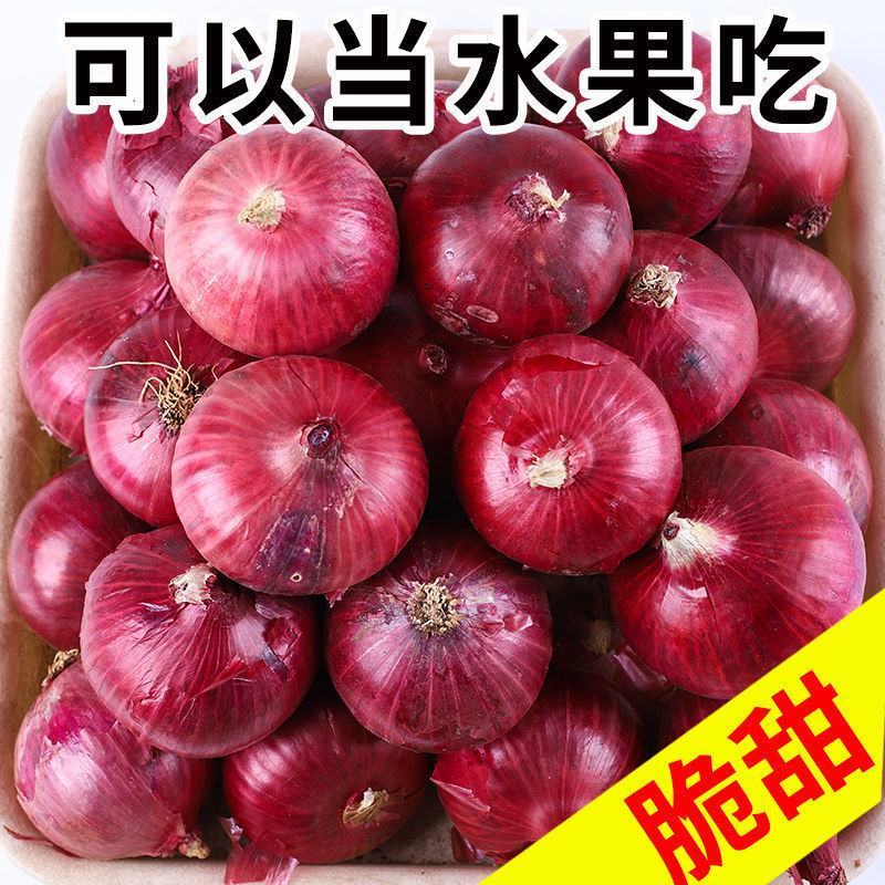 陕西阎良洋葱一件代发