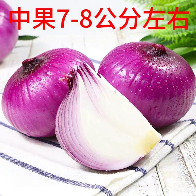 陕西阎良洋葱一件代发