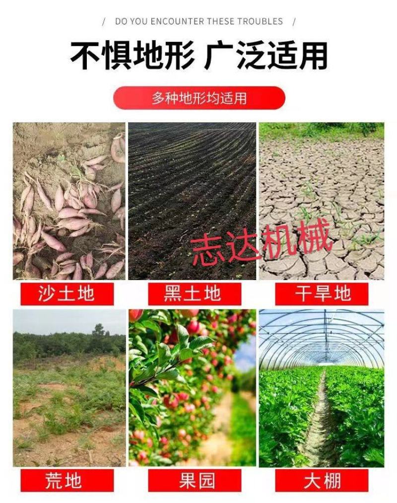 土豆地瓜收获机拖拉机带收胡萝卜马铃薯洋芋机器