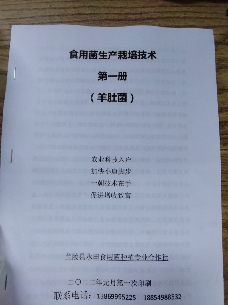 山东盛达菌业供应羊肚菌母种原种栽培种及菌需用品