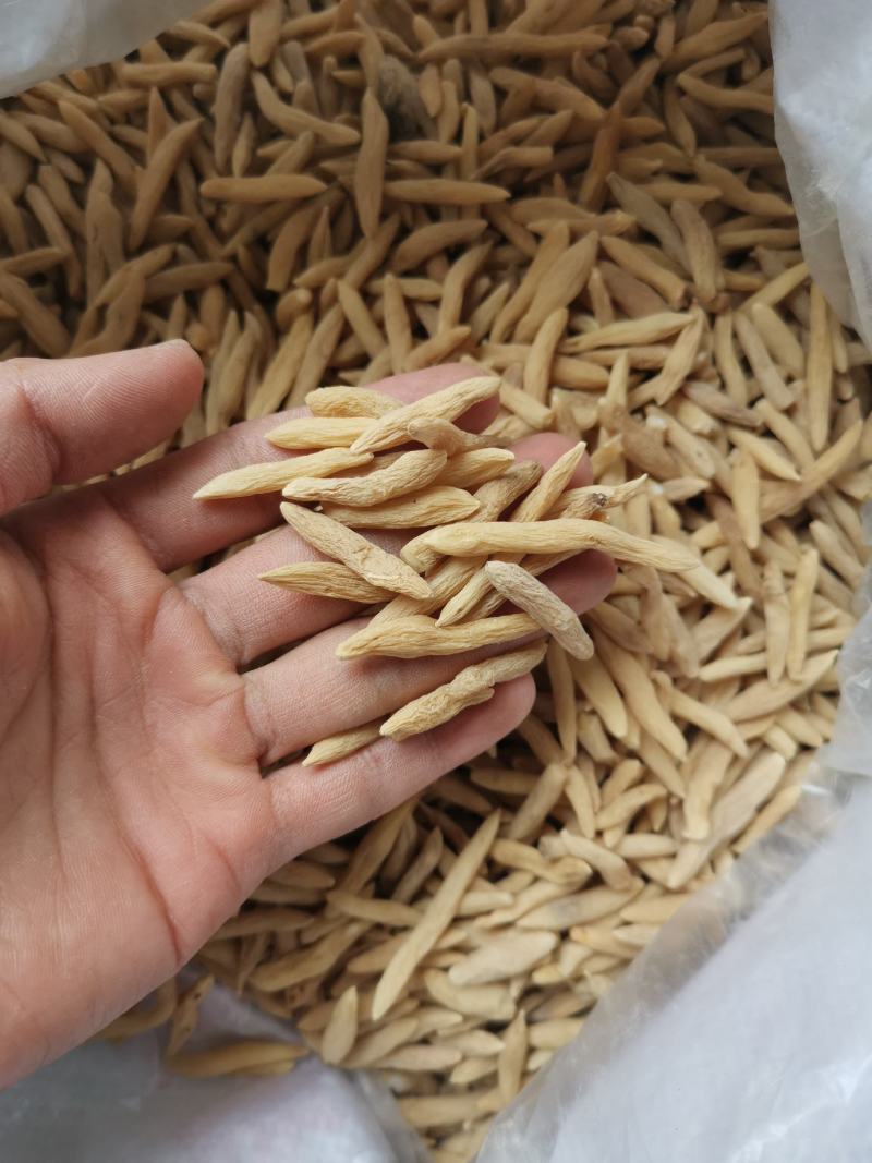 【精品】无硫麦冬无硫非常香好货基地直销批发零售