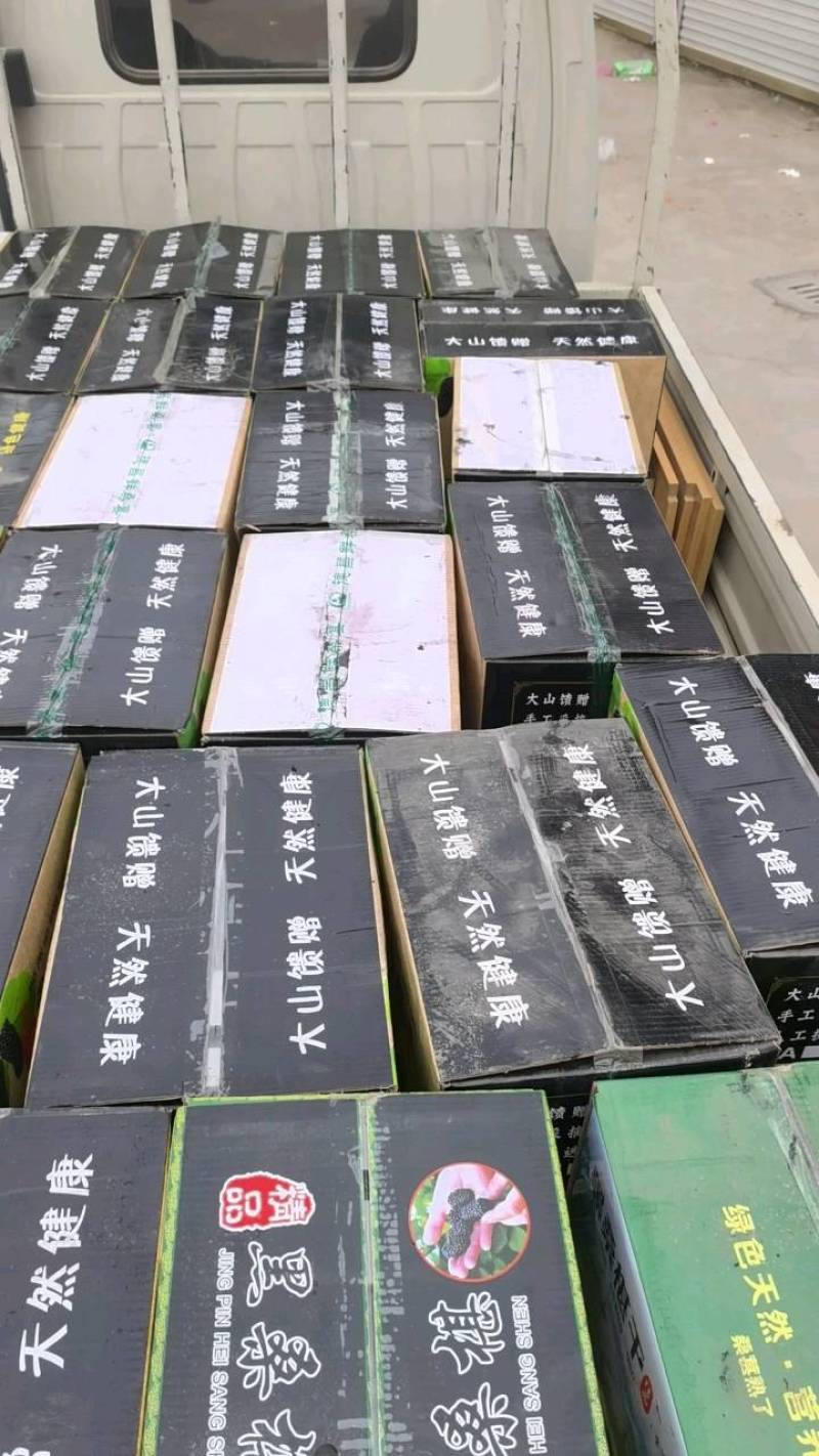 青皮实图拍摄货源充足重在品质物美价廉当天发货