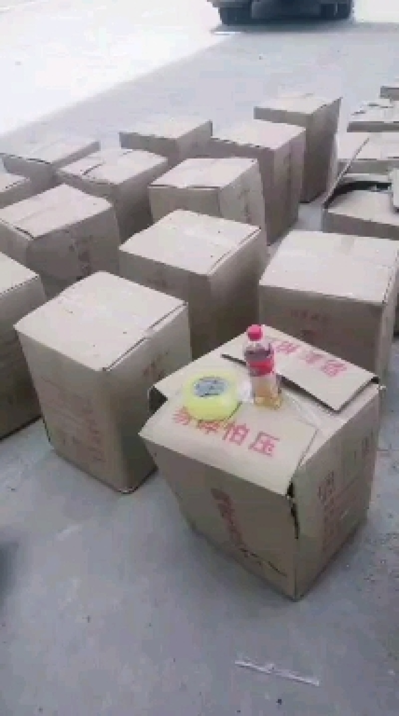 石菖蒲实图拍摄今年新货货源充足重在品质地道药材
