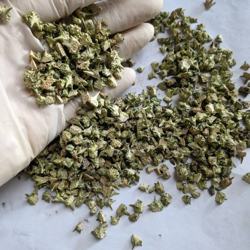 蒺藜实图拍摄地道药材物美价廉重在品质货源充足
