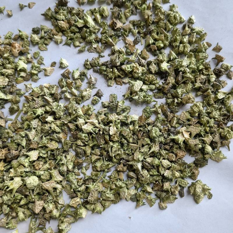 蒺藜实图拍摄地道药材物美价廉重在品质货源充足