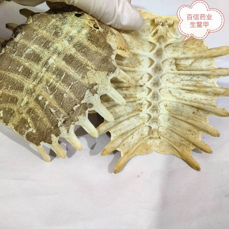 蒺藜实图拍摄地道药材物美价廉重在品质货源充足