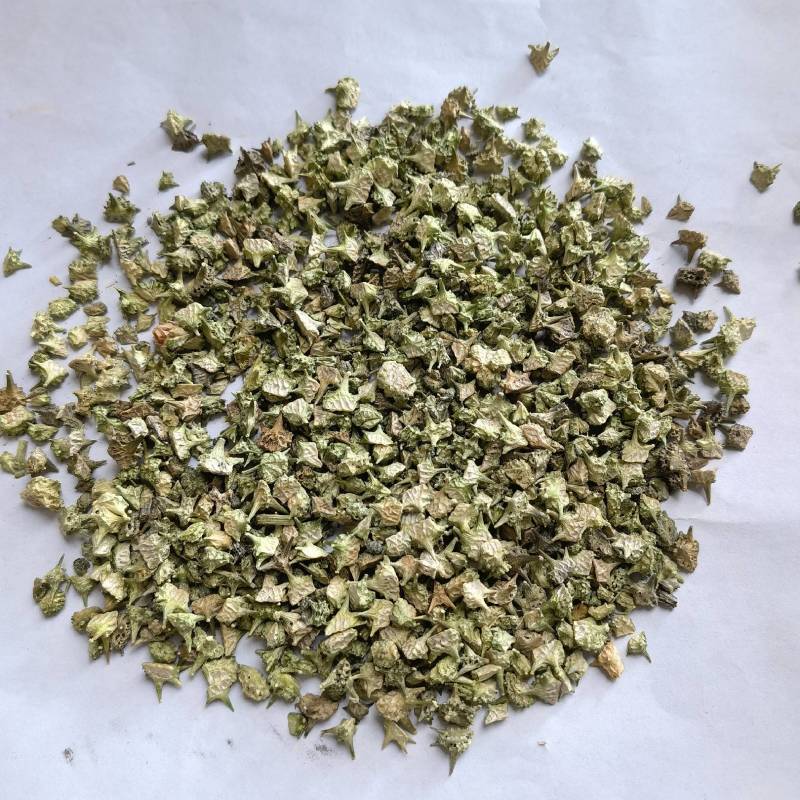 蒺藜实图拍摄地道药材物美价廉重在品质货源充足