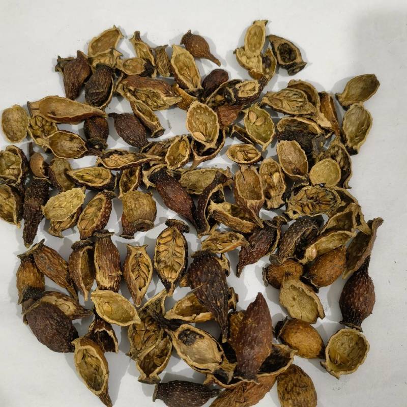 蒺藜实图拍摄地道药材物美价廉重在品质货源充足