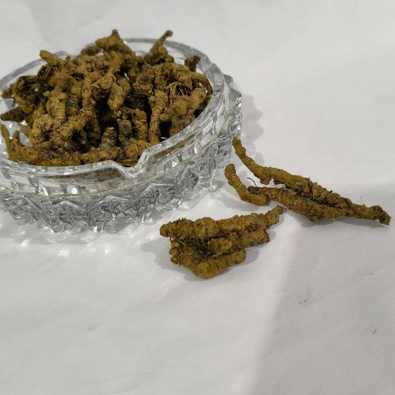 旱防已今年新货地道药材货源充足常年有大货
