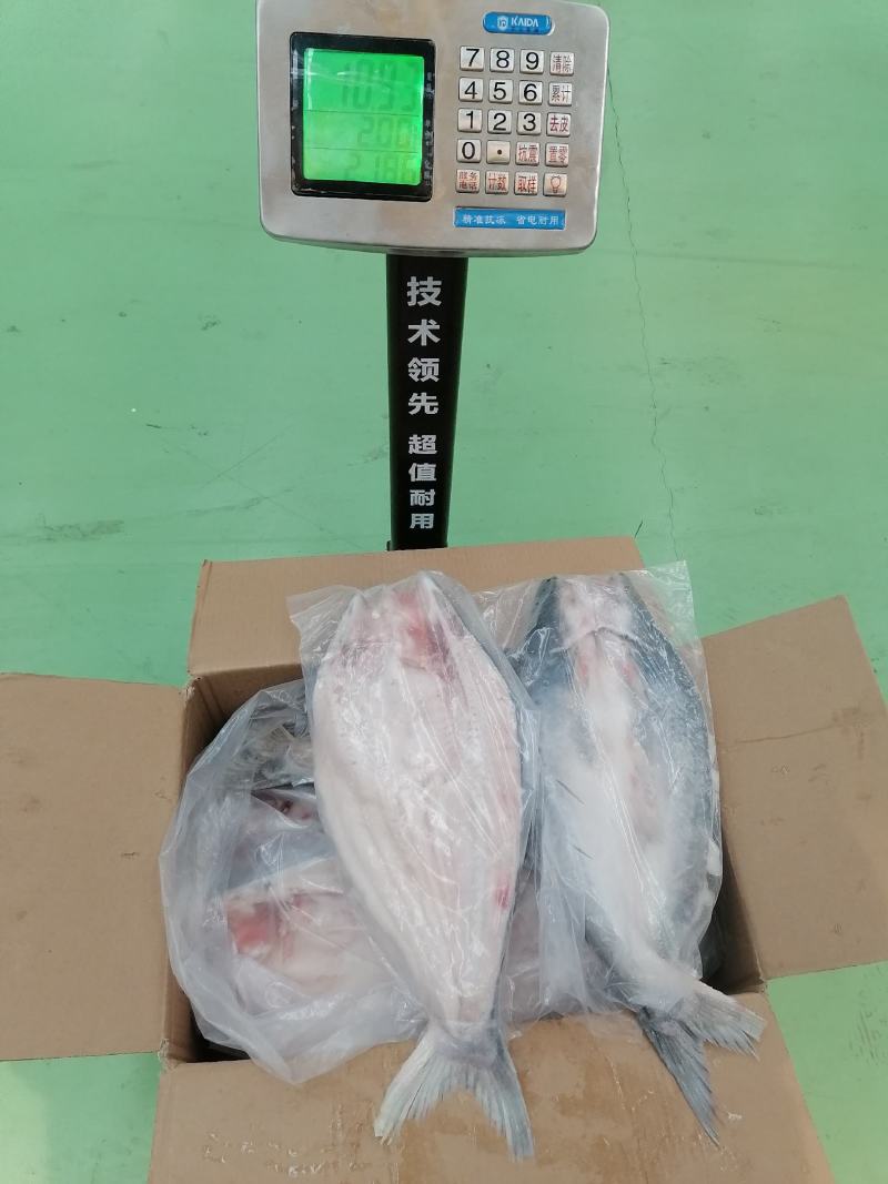 开背巴沙鱼900/1100克*10条