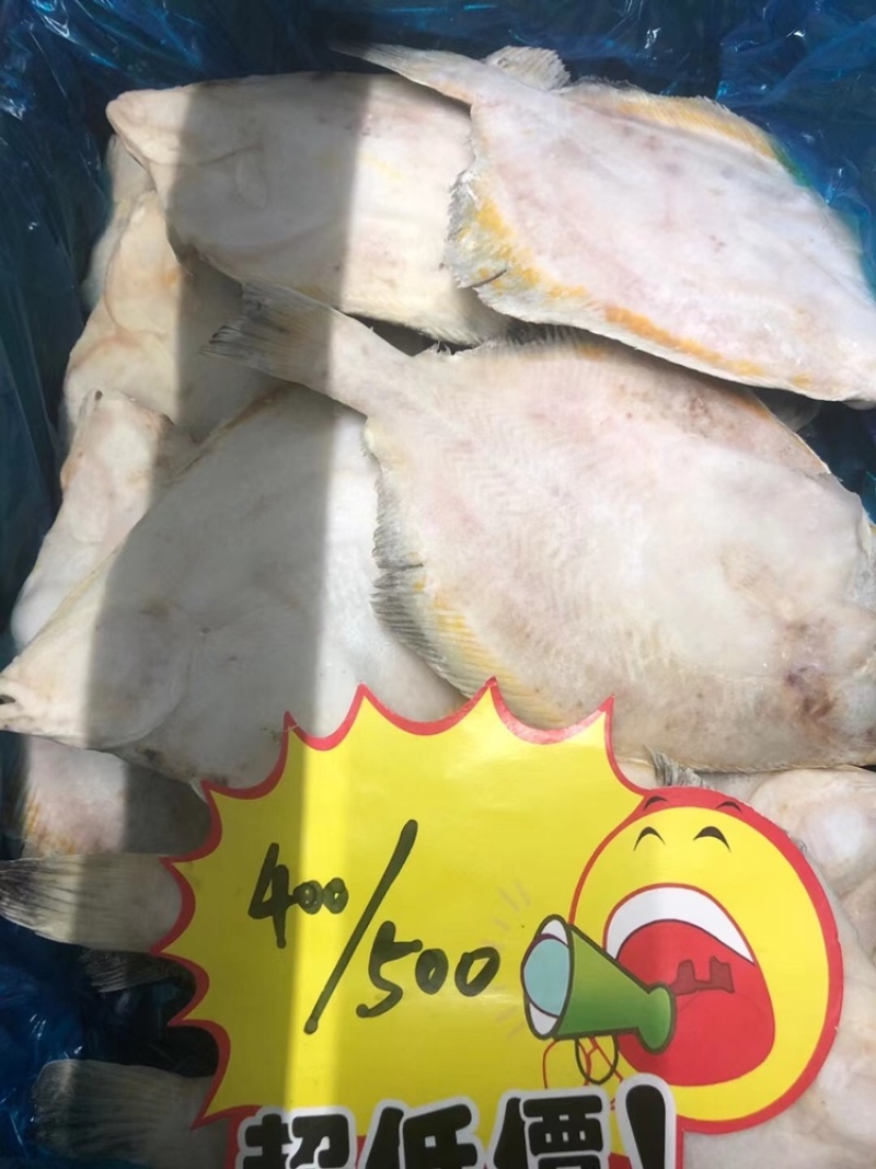 比目鱼，碟鱼各种规格