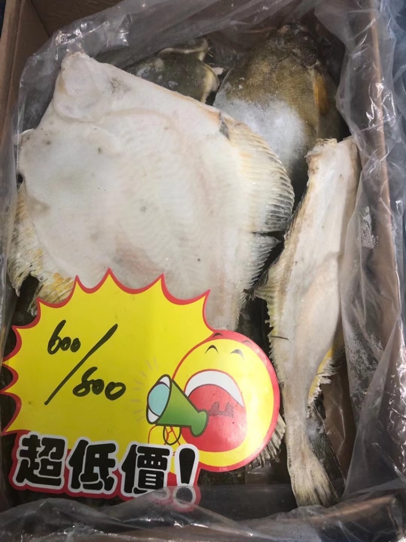 比目鱼，碟鱼各种规格