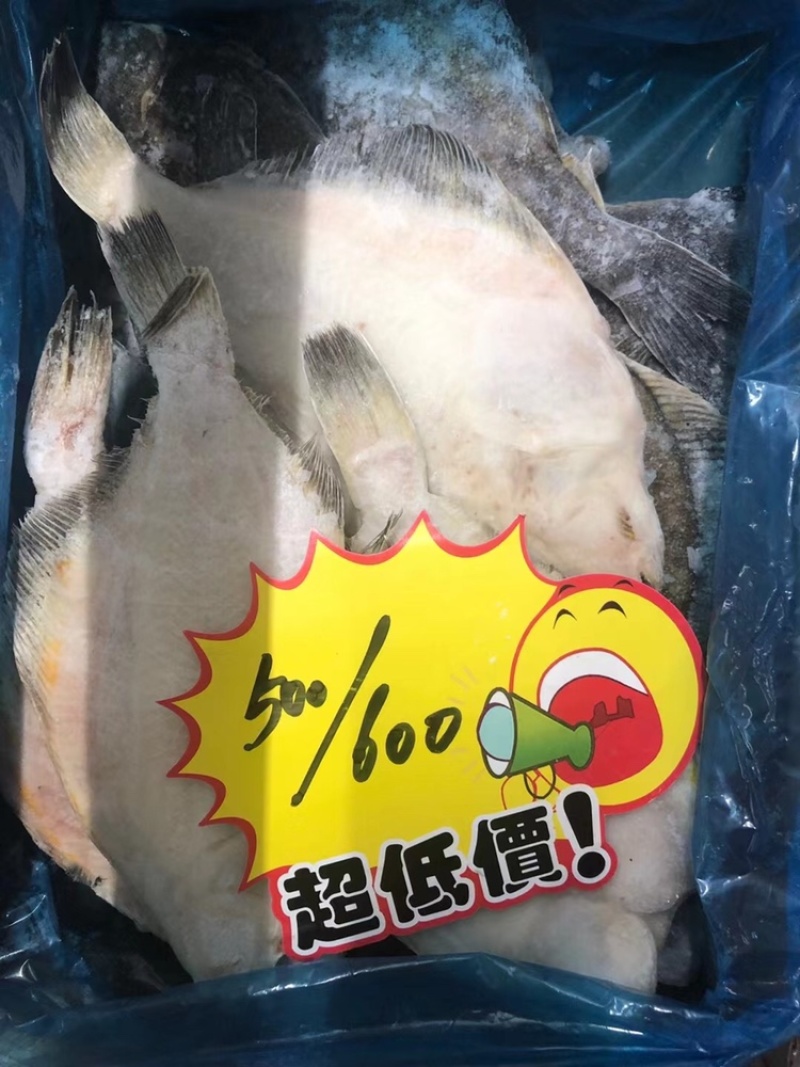 比目鱼，碟鱼各种规格