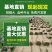 北京顺义优质草坪销售混播草坪高羊茅早熟禾果岭