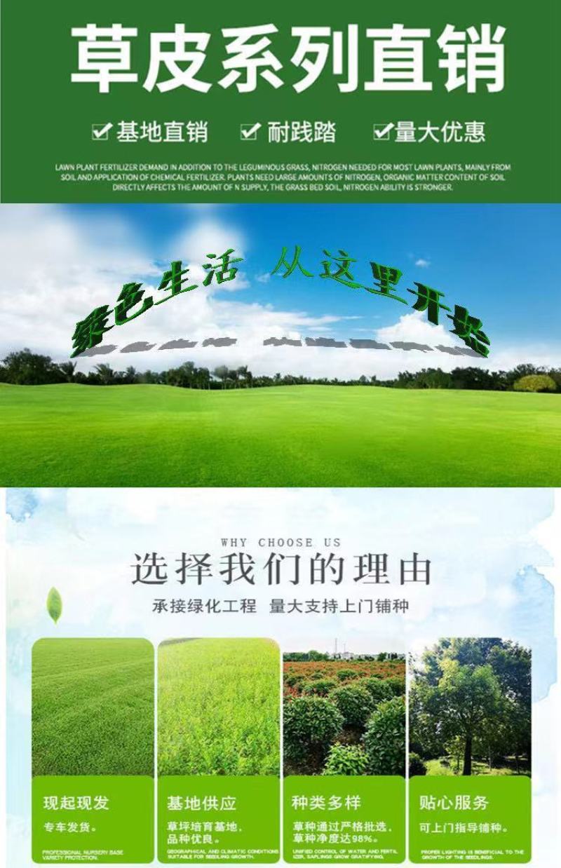北京草坪草皮销售耐践踏高羊茅早熟禾果岭优质货源