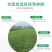 草坪销售绿化草坪北京草坪草坪草皮北京草坪销售