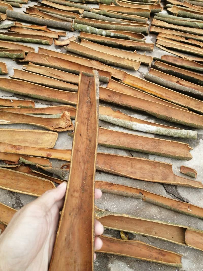 广东肉桂，原产地玉桂皮肉桂，纯干晒，标准规格通货精品