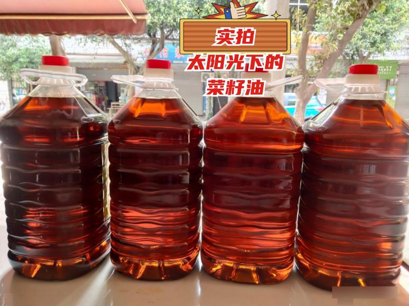 纯香菜籽油农家自榨菜籽油小榨菜油四川宜宾菜籽油0添加