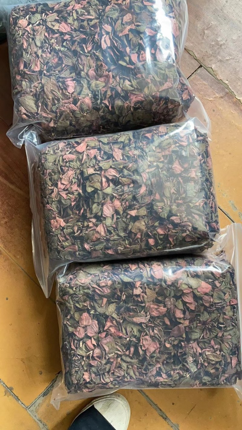【精品】金线莲干货2022年新货纯无碎货源充足