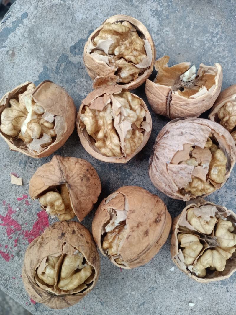 汾阳本地核桃，各种品种都有，礼品，晋龙，香玲，辽核，老核
