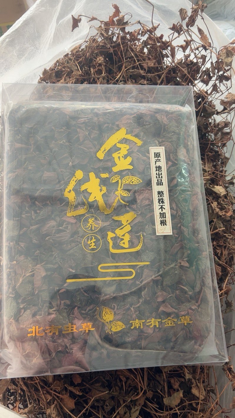 【精品】金线莲干货2022年新货纯无碎货源充足