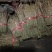 夹江叠鞘石斛基地批发