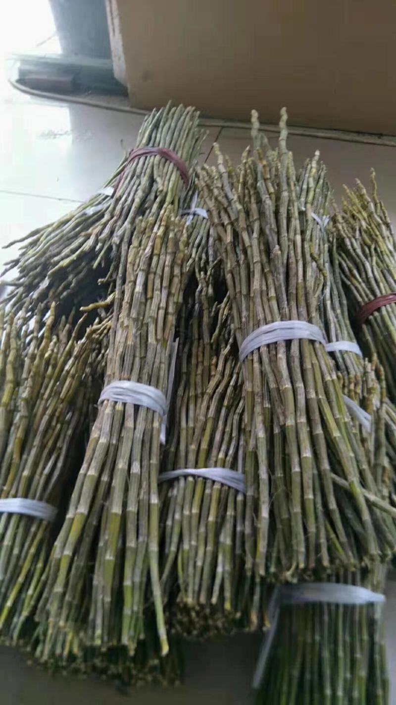 夹江叠鞘石斛鲜条，长期有货，全部是粗条，有需要的老板可以