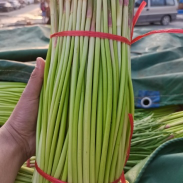 杂交蒜薹