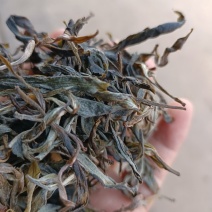 普洱茶（临沧古茶）世界茶仓，产自普洱茶主厂区临沧。