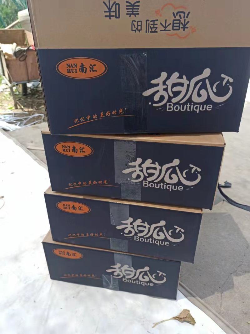 上海南汇玉姑甜瓜
