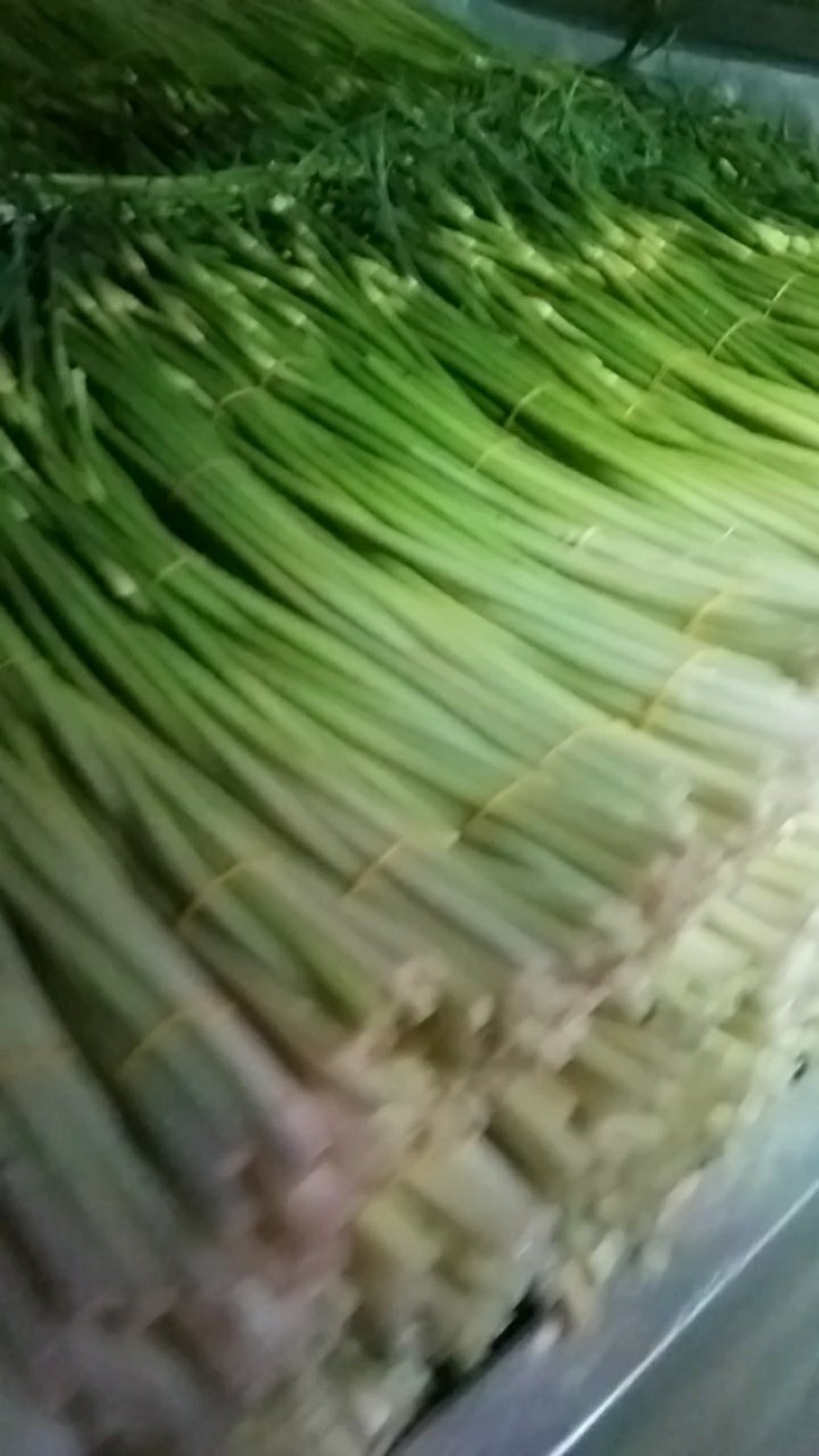 白帽蒜薹