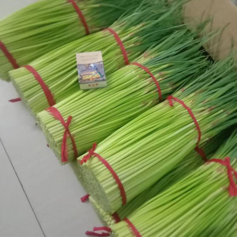 开封通许红帽蒜苔，干蒜薹。电商，商超，大量供应