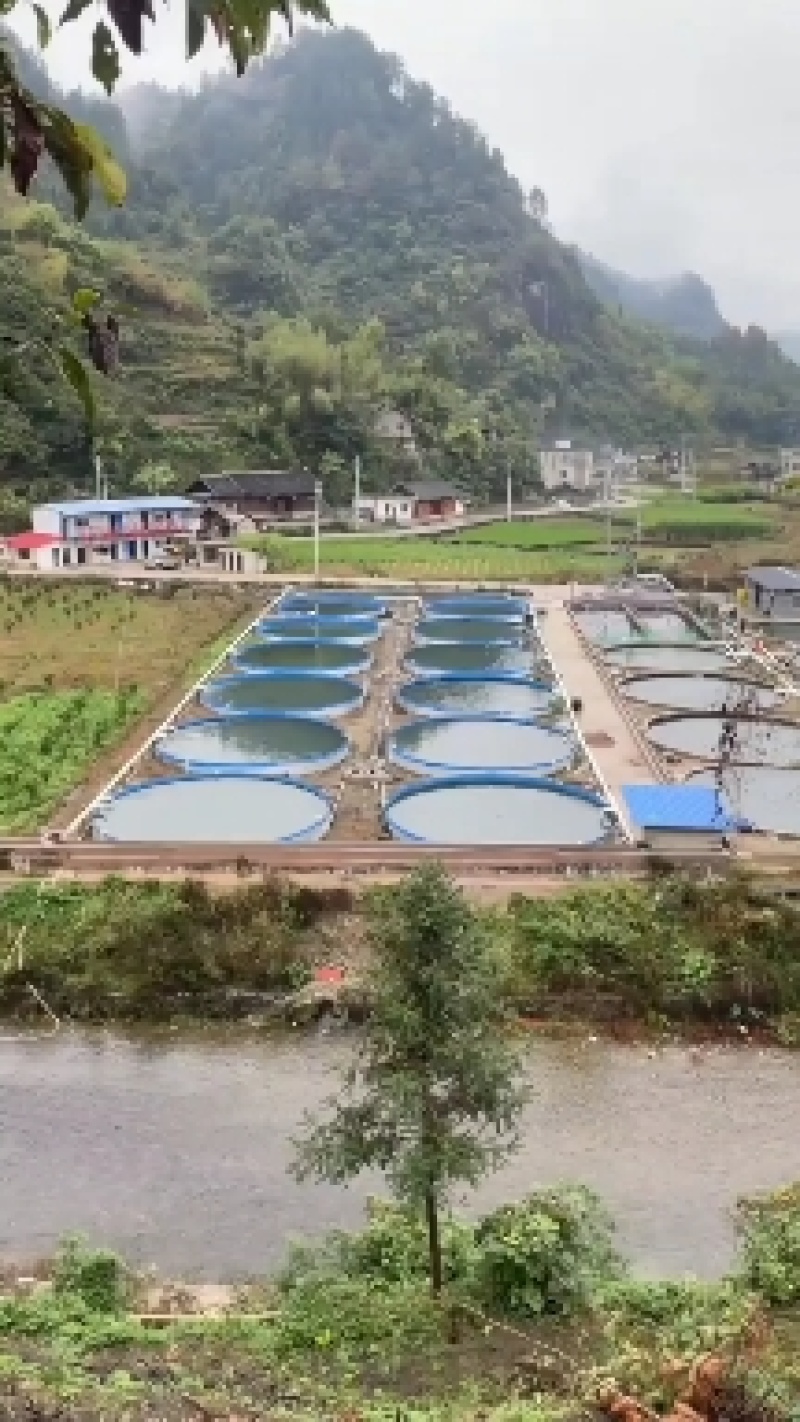 镀锌板帆布池圆桶支架蓄水池方形圆形刀刮布养殖池