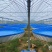 镀锌板帆布池圆桶支架蓄水池方形圆形刀刮布养殖池