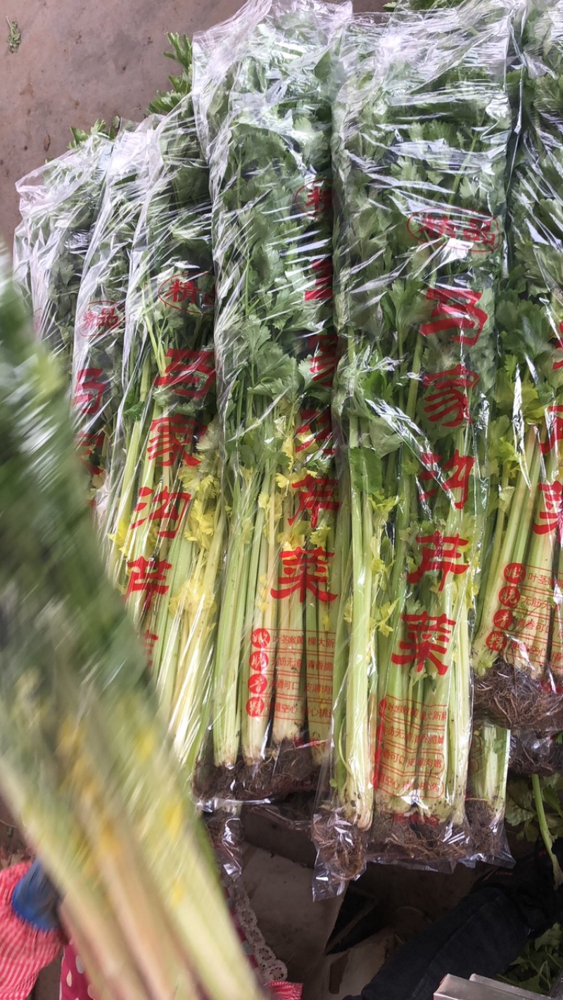 正宗平度马家沟芹菜可加工各种规格和各种礼盒