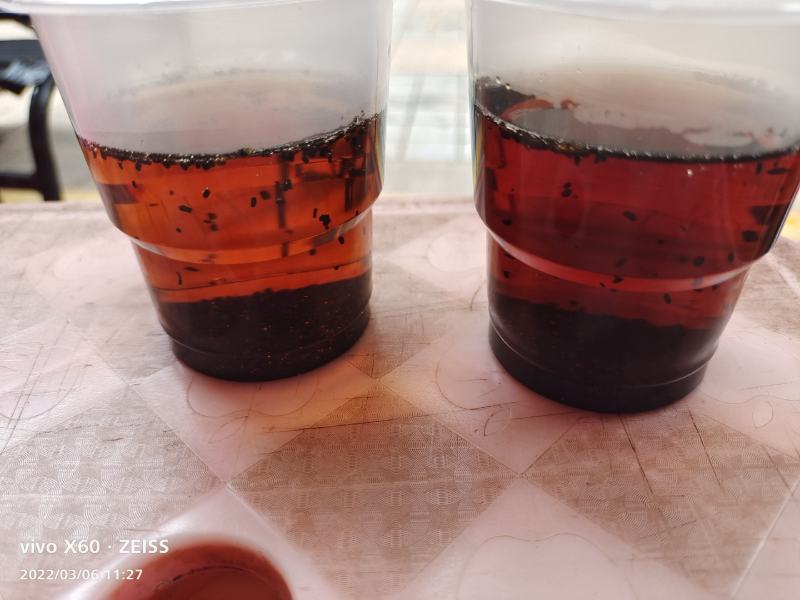 虫茶，中药材保健茶，传统虫茶，年份久味道浓、纯