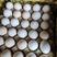 黄河滩柴鸡蛋土鸡蛋初产蛋稳定供应每日2万枚