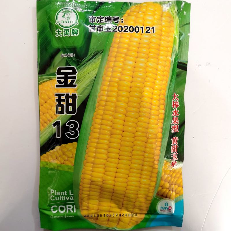 甜玉米种金辉甜505玉米种子大棒金甜13早熟水果玉米种籽