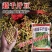 高产黄豆种子早熟高产黄豆种子农家自种大豆种籽特大高产早熟