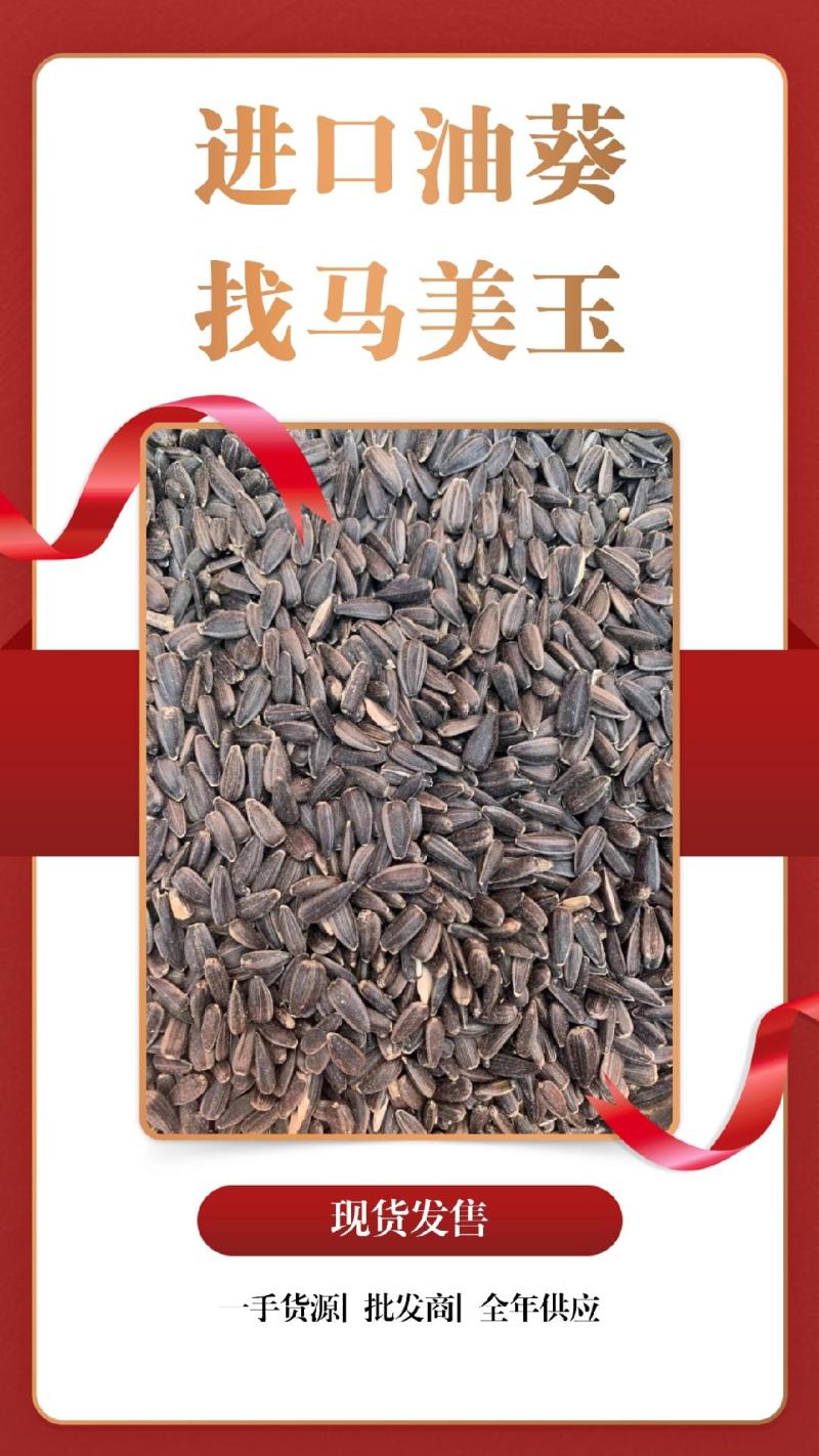 【油葵】进口精品油葵毛仁现货发售（过风过比重油色金黄）