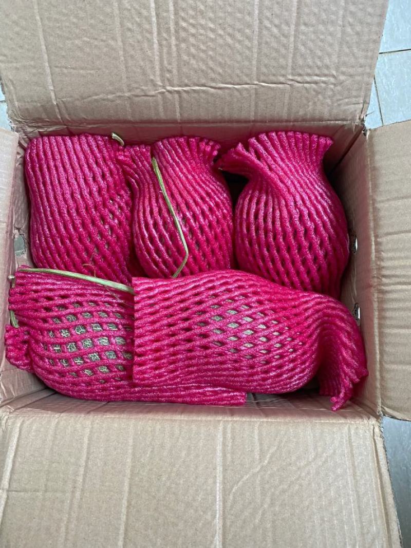 哈密瓜晓蜜哈密瓜一件代发