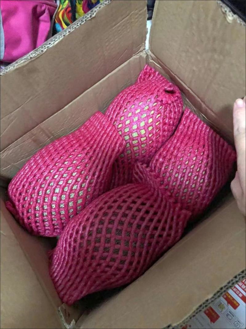 哈密瓜晓蜜哈密瓜一件代发