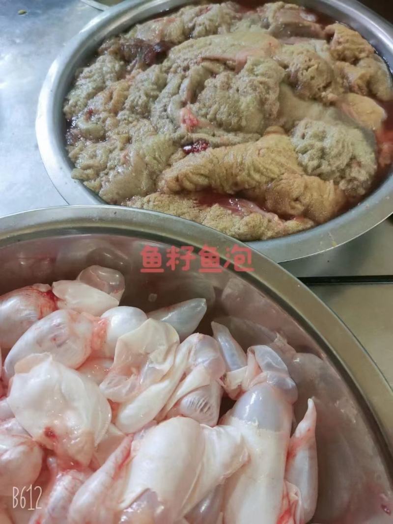 鱼籽黄河鲈鱼籽鲤鱼籽，草鱼籽，质量好价格低2斤一包
